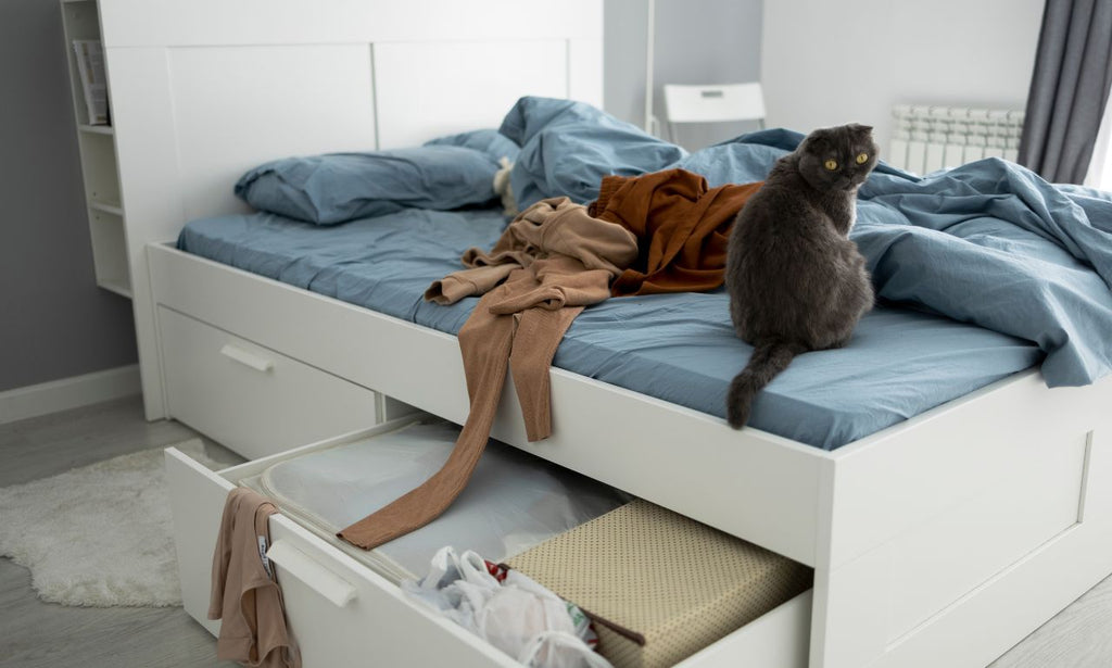 Storage beds